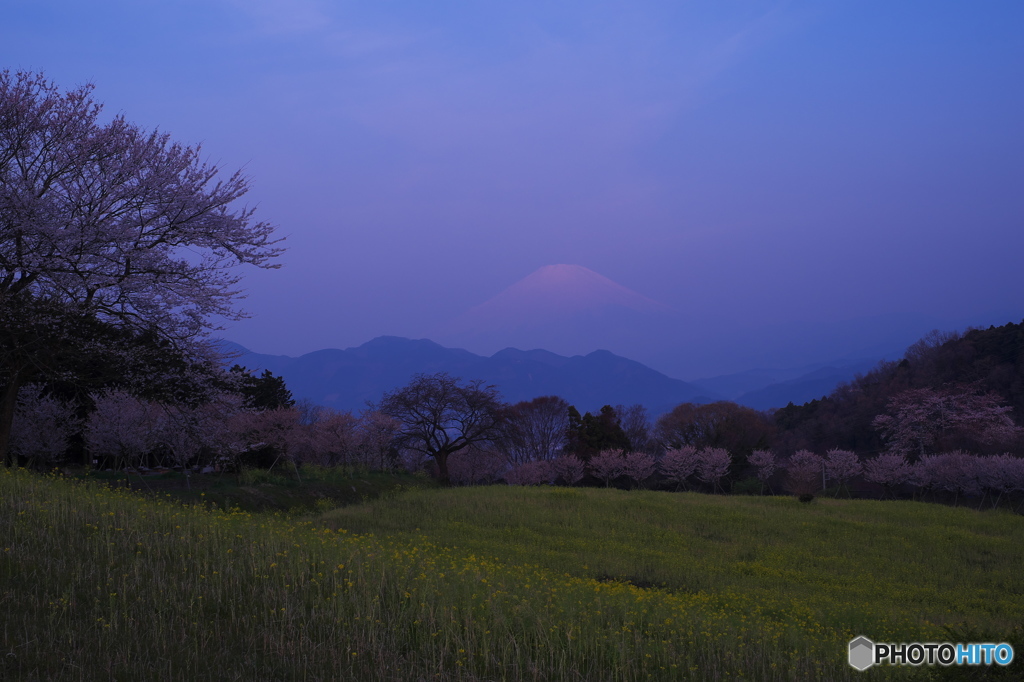 富嶽よ永遠に～未明の花園から