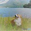 追憶の湖