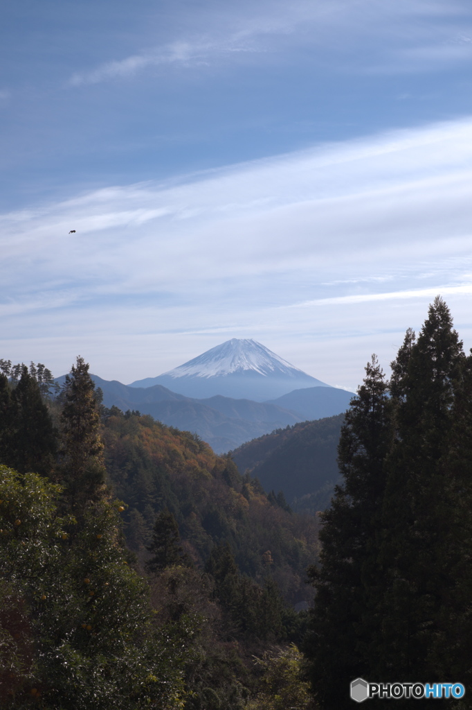 富嶽よ永遠に～林の向うに