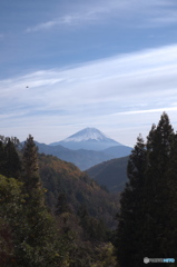 富嶽よ永遠に～林の向うに