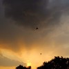夕方の変