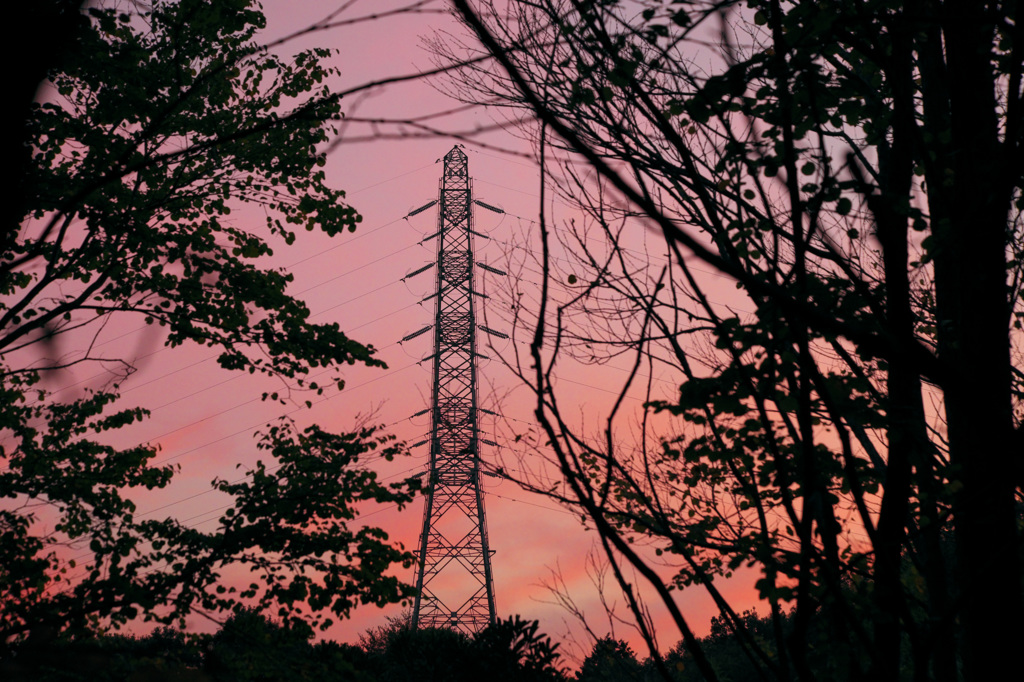 夕焼け鉄塔