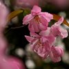 もっと光を