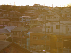 生田の丘