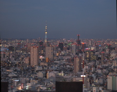 東京薄暮