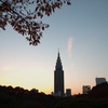 都会のオアシスからの夕景