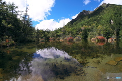 明神池と映り込み