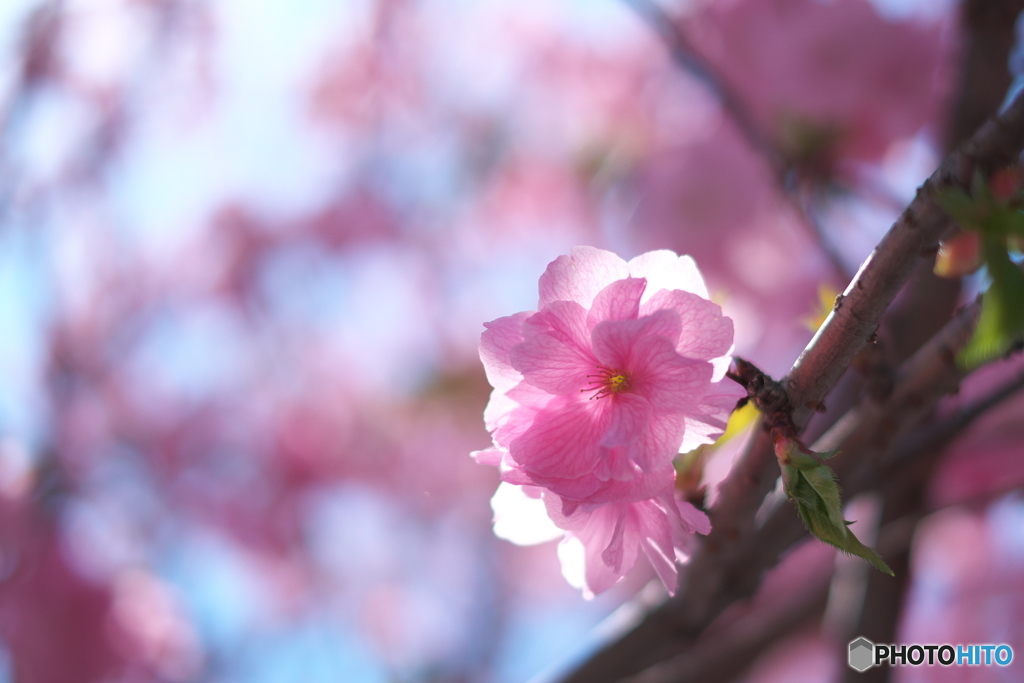 温もり