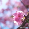 温もり