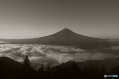 富嶽よ永遠に～雲海に美しい稜線