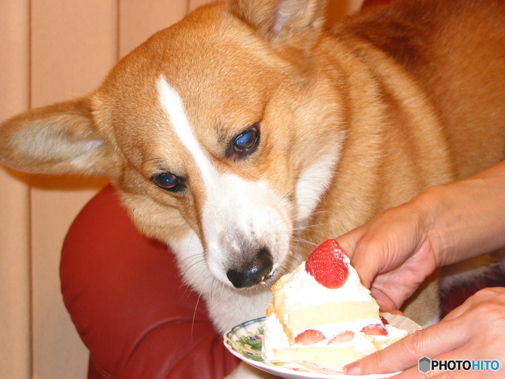 ４歳のバースデイケーキ