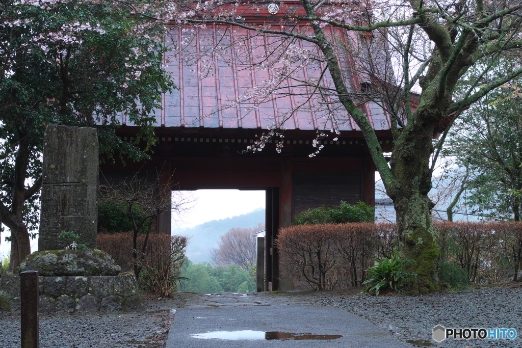 ここは遅い春