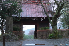 ここは遅い春
