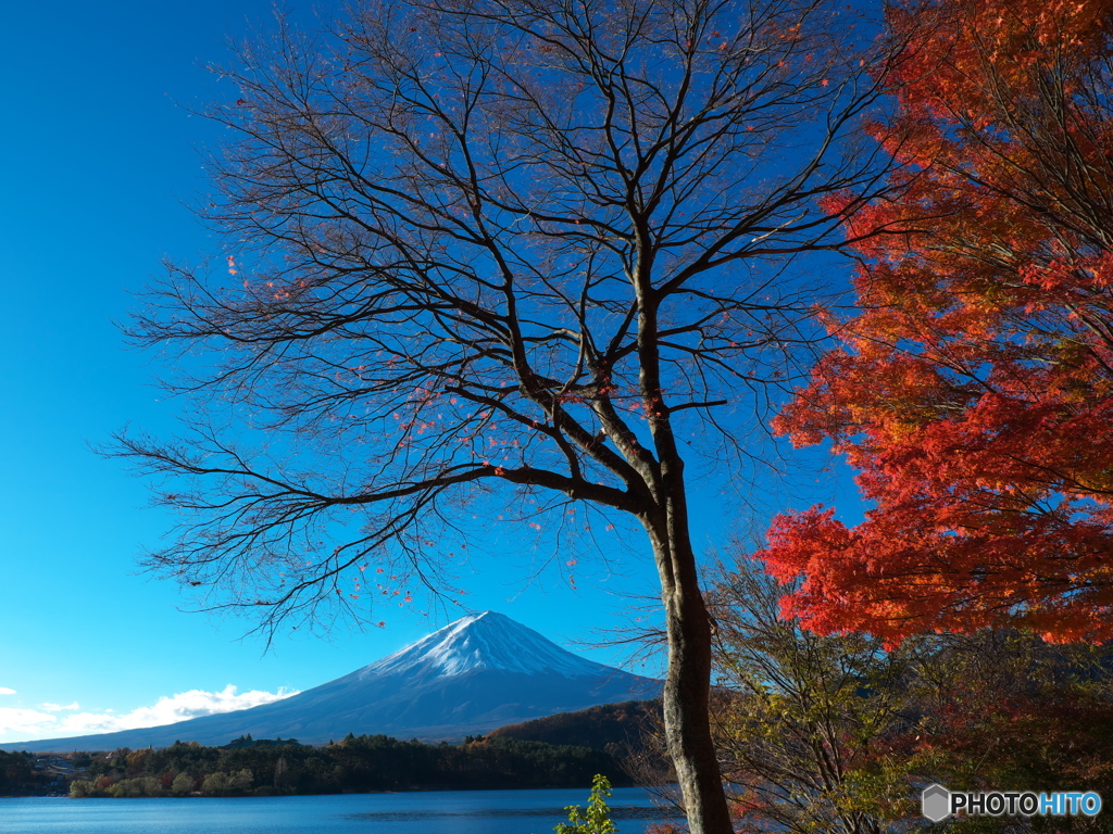 富嶽よ永遠に～紅葉盛衰