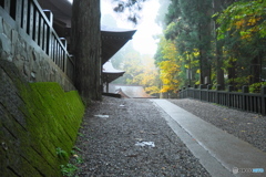 小雨の戸隠中社