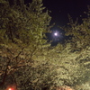 月と提灯の共演