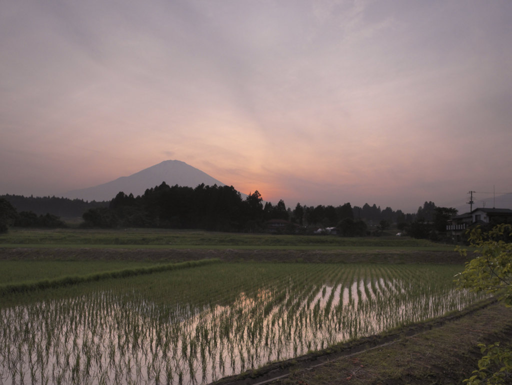 富嶽よ永遠に～田植えのころ
