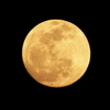 １４夜