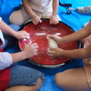 子等の作戦会議