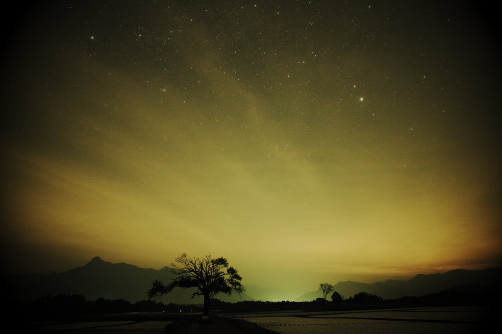 燃える夜空