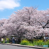 記念写真