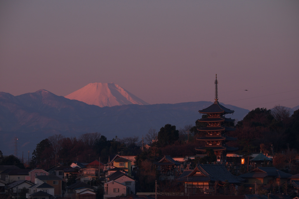 富嶽よ永遠に～五重塔と朝焼け