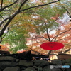 昇仙峡の紅い傘