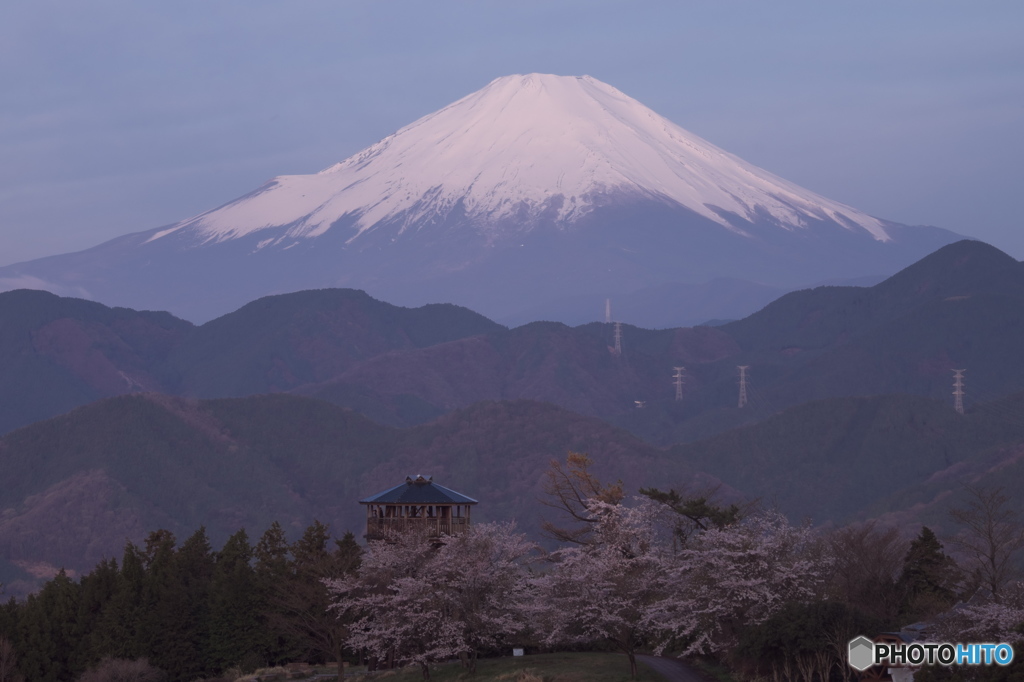 富嶽よ永遠に～桜の城