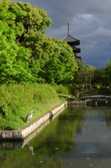 東寺