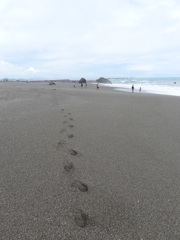 桂浜