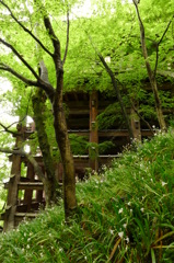 清水の舞台下