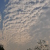 梅雨の切れ間の夕方