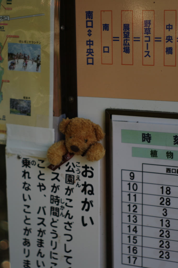 ｢迷子？かな.. ｣