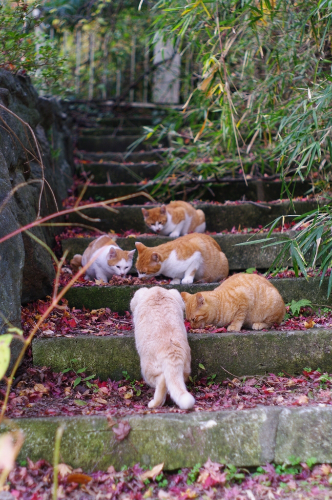 ｢ご飯の時間に｣