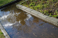 雨上がり