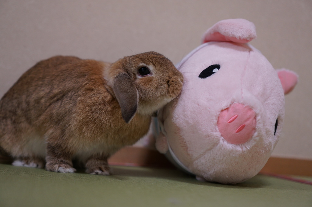 ちゅぅ