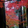 佛通寺　紅葉2