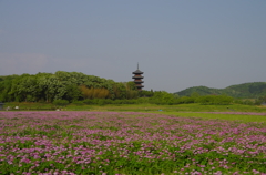 2012/5/5　備中国分寺