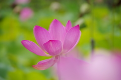 IMGP8819