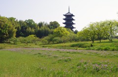 IMGP6629