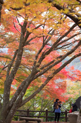 尾関山公園/広島