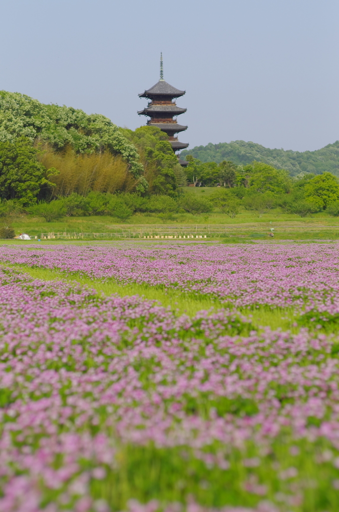 2012/5/5 備中国分寺