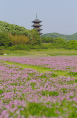 2012/5/5 備中国分寺