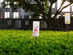 P1170355