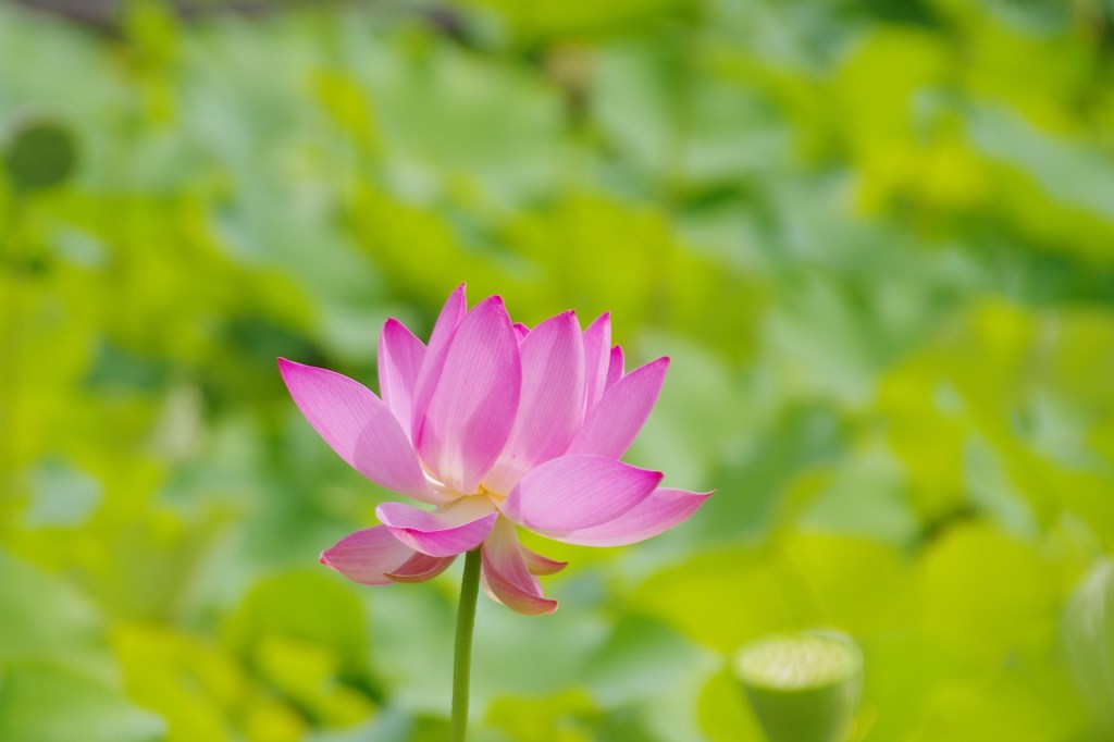 IMGP8805