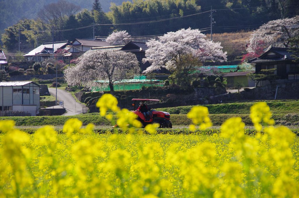 2012/4/14 農作業はじまる