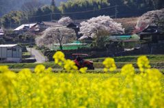 2012/4/14 農作業はじまる