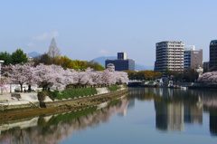 元安川より望む