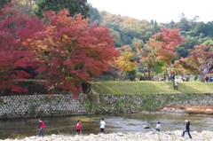 唯称庵跡のカエデ2