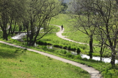 Green　新緑散歩道